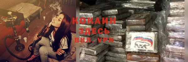 мет Алексин