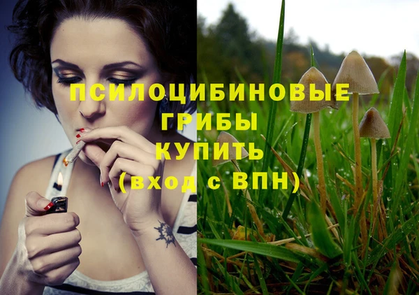 хмурый Алексеевка