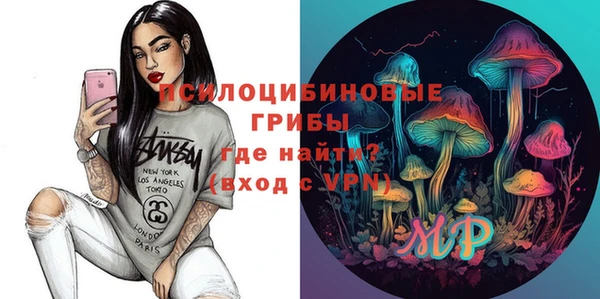 мет Алексин