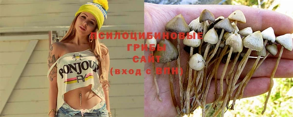 хмурый Алексеевка