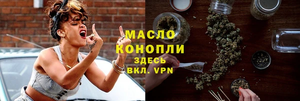 мет Алексин